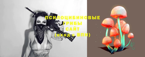 кокс Баксан