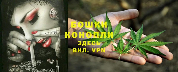 прущие крисы Балахна