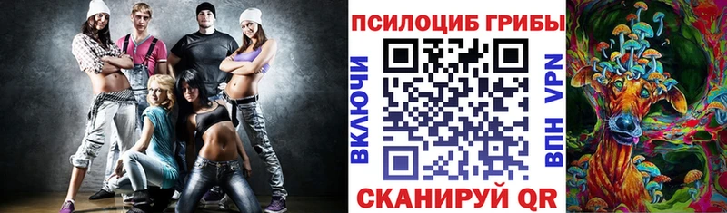 Галлюциногенные грибы Psilocybe Белокуриха