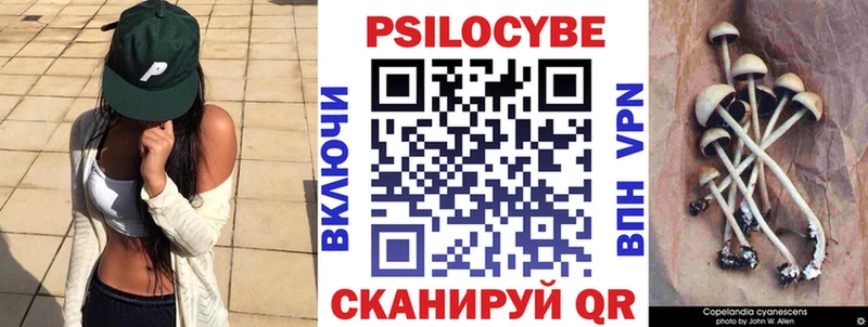 Галлюциногенные грибы мицелий  Купить закладки  Белокуриха 